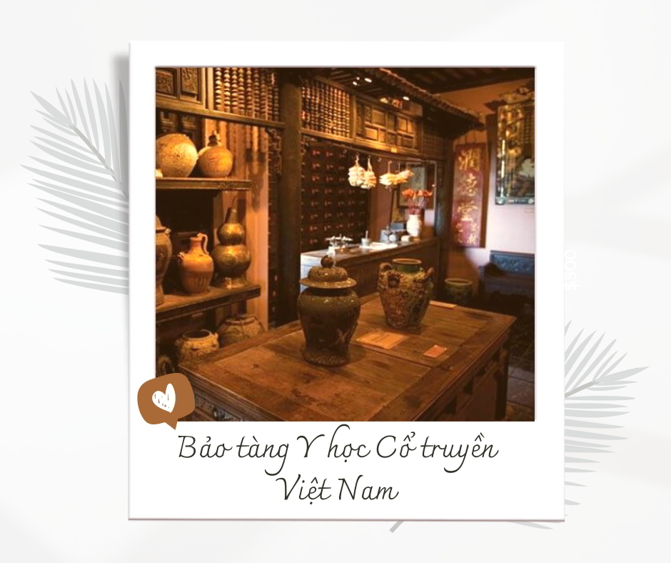 Bảo tàng Y học Cổ truyền Việt Nam - địa điểm sài gòn sau giãn cách