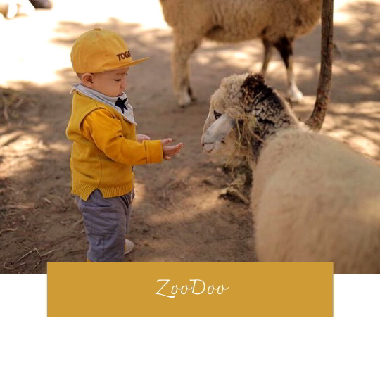Vườn thú ZooDoo - địa điểm du lịch đà lạt