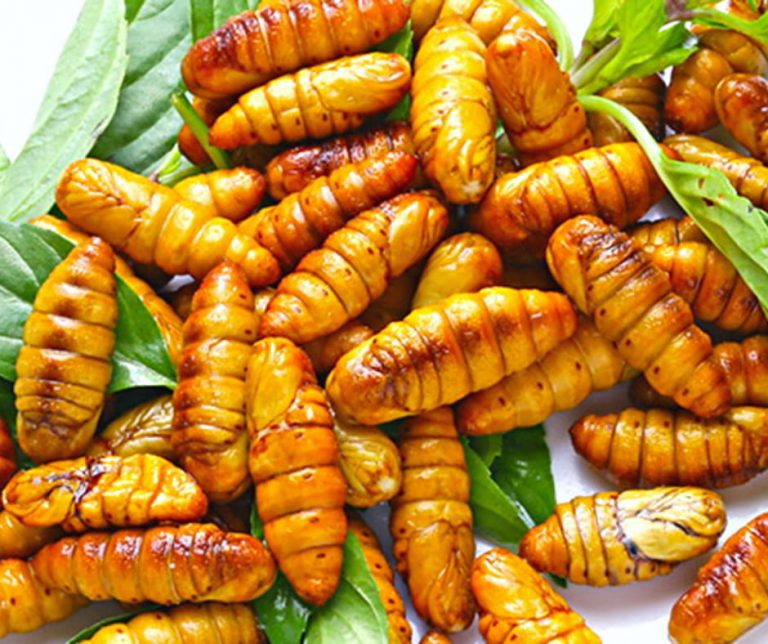 9 món ăn kỳ lạ ở Việt Nam khiến người nước ngoài kinh ngạc