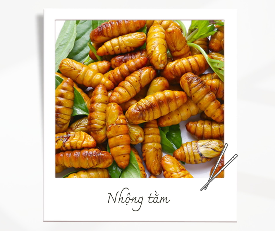 Nhộng tằm rang - Ẩm thực Việt Nam