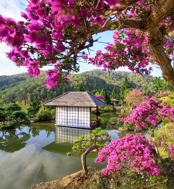 QUE Garden Đà Lạt – “Tiểu Nhật Bản” giữa lòng Đà Lạt
