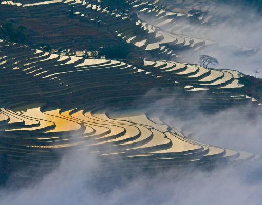 Ruộng bậc thang lớn nhất thế giới Honghe Hani