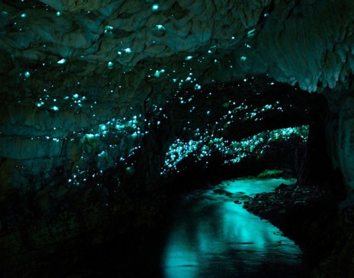 Waitomo Glowworm Caves Australia