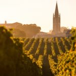 Rượu vang Bordeaux - Dydaa