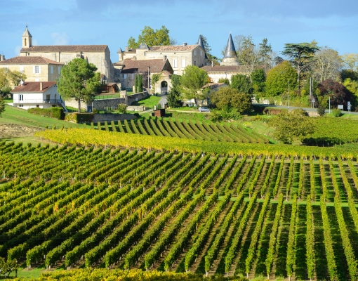 Rượu vang Bordeaux - Dydaa