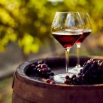 Rượu vang ẩm thực Pháp - Dydaa